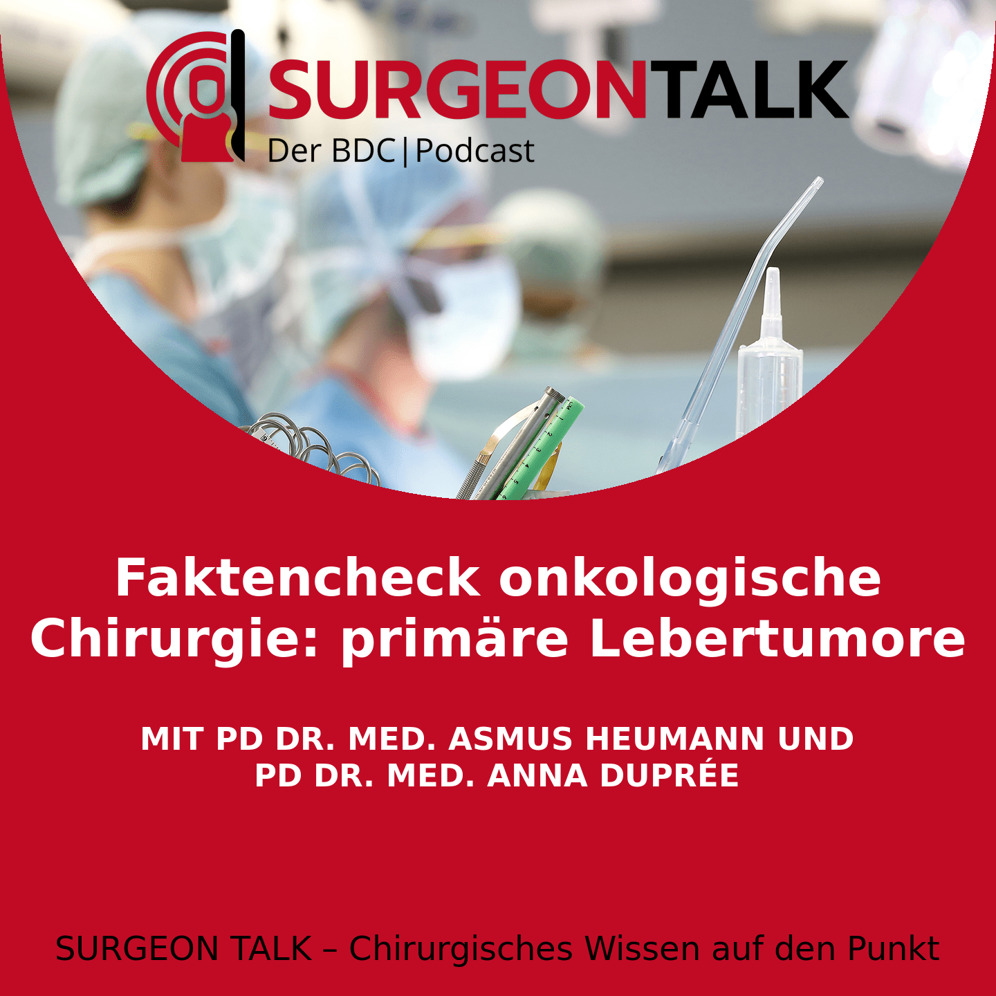 Faktencheck onkologische Chirurgie: primäre Lebertumore